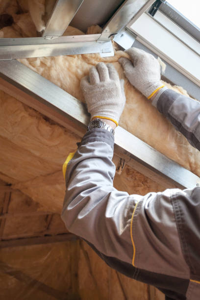 Best Insulation Maintenance and Repair in Crandall, TX